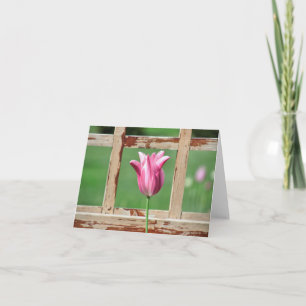 Rustic Framed Tulip Note Card