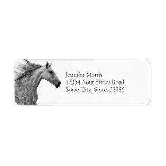 Rustic Galloping Andalusian Horse