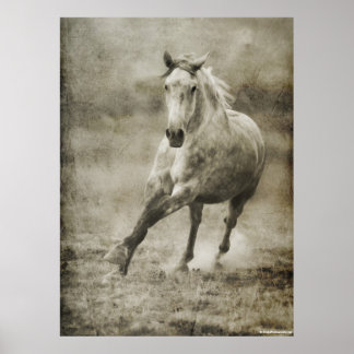 Rustic Galloping Andalusian Horse Poster