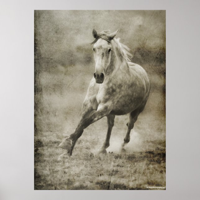 Rustic Galloping Andalusian Horse Poster (Front)