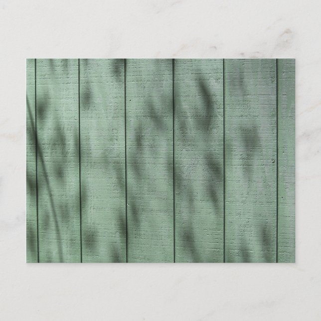 Rustic Green Wood Wall with Dappled Shadows/Light Postcard (Front)