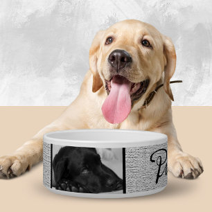 Rustic Grey Dog`s Name in Black Script 2 Photo