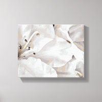 *~* Rustic Grunge Azalea Flowers White Neutral