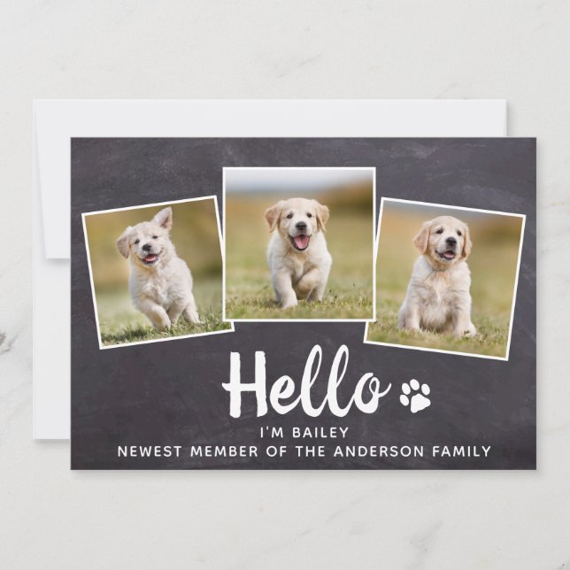 Rustic Hello Photo Collage Puppy Dog New Pet Announcement (Front)