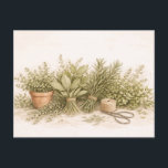 Rustic Herb Bundle Botanical Watercolor Still Life Postcard<br><div class="desc">This design features a rustic botanical still life of fresh herb bundles arranged on a natural surface. Hand tied bunches of leafy herbs and rosemary rest beside a terracotta pot filled with greenery, delicate flowering stems, garden twine, and vintage scissors. The composition highlights natural textures and soft greenery in a...</div>