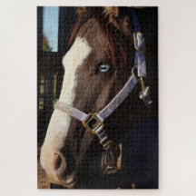 Rustic Horse Photography Puzzle- Original Photo