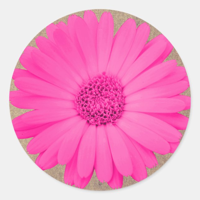 Rustic Hot Pink Gerber Daisy Round Stickers Seals (Front)