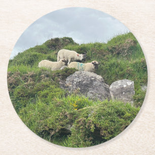 Rustic Ireland Three Irish Sheep Round Paper Coaster