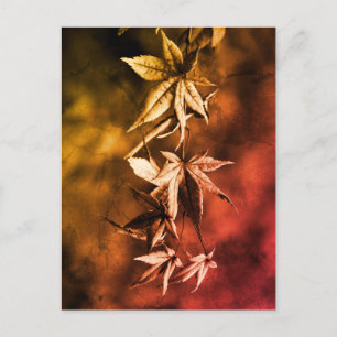 Rustic Japanese Maple Foliage Portrait Postcard