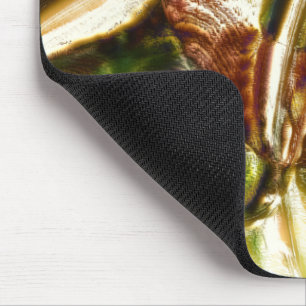 Rustic 'knotted wood stump cutout magnification' mouse pad