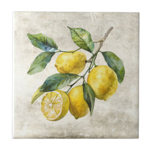 Rustic Lemons Shabby Chic Cottage Ceramic Tile