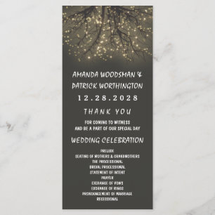 Rustic Lighted Tree Branch Wedding Programs Programme