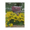 Rustic Mailbox Art
