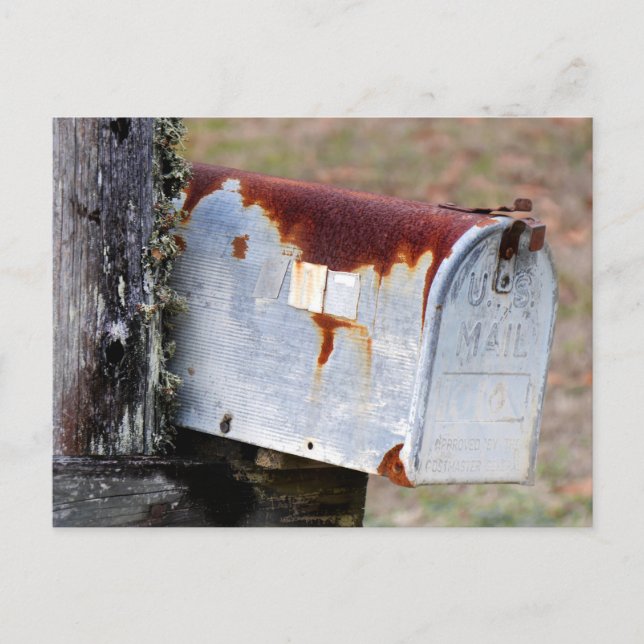 Rustic Mailbox  Postcard (Front)