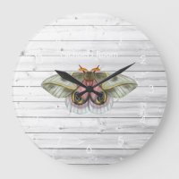 Rustic Moth