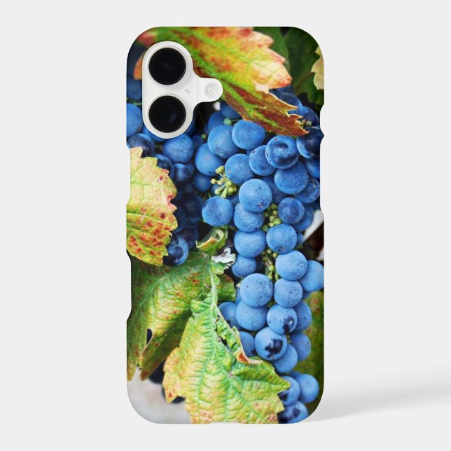 Rustic Napa Valley Wine Country Merlot Case (Back)
