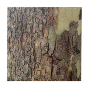 Rustic nature, tree bark, forest trees  tile