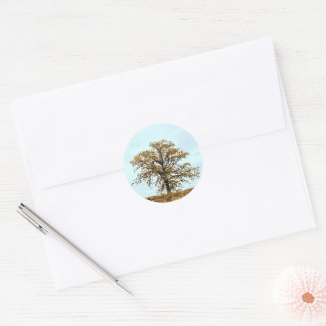 Rustic Oak Tree Autumn Wedding Classic Round Sticker (Envelope)
