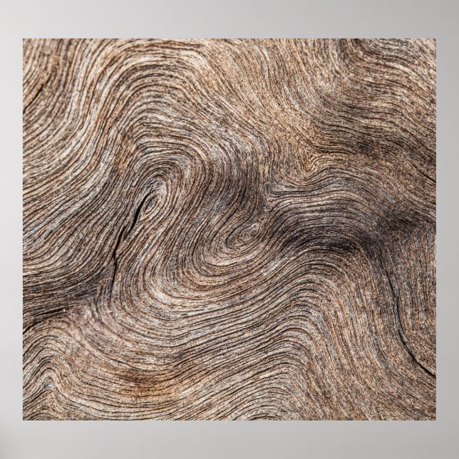 Rustic old wood, textured background poster (Front)