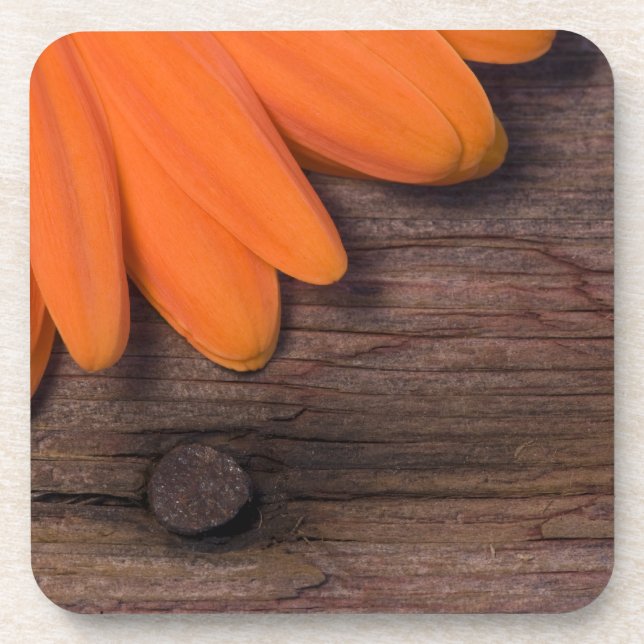 Rustic Orange Daisy and Barn Wood Coaster (Front)