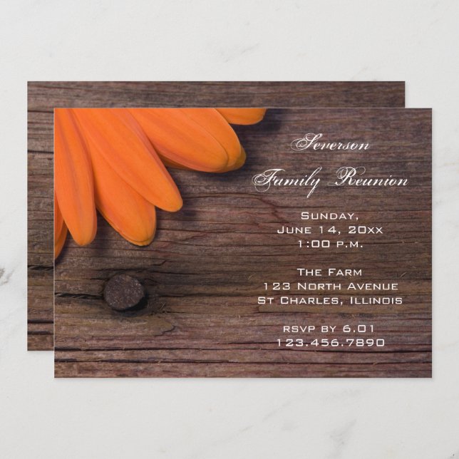Rustic Orange Daisy Barn Party Family Reunion Invitation (Front/Back)