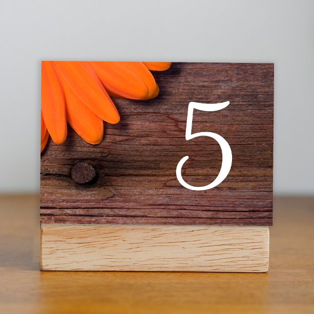 Rustic Orange Daisy Barn Wedding Table Numbers (Creator Uploaded)