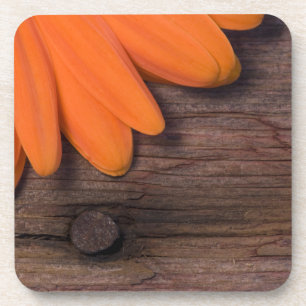 Rustic Orange Daisy Cork Coaster Set
