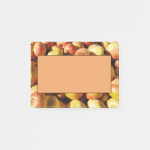 Rustic Pastel Colourful Fall Apple Orchard Harvest