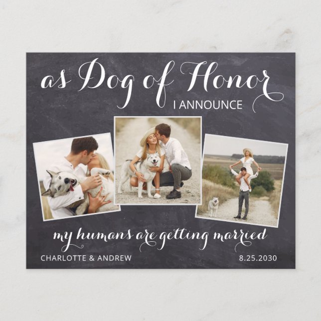 Rustic Pet Dog Photo Budget Wedding Save The Date (Front)