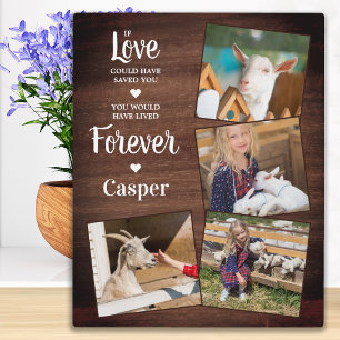 Rustic Pet Memorial Pet Loss Gift Sympathy 4 Photo Plaque