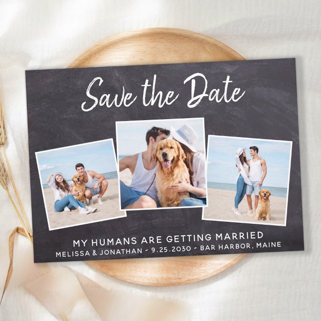 Rustic Photo Collage Pet Wedding Dog Save The Date (Creator Uploaded)