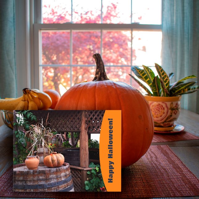 Rustic photo orange pumpink  Holiday Postcard (Creator Uploaded)
