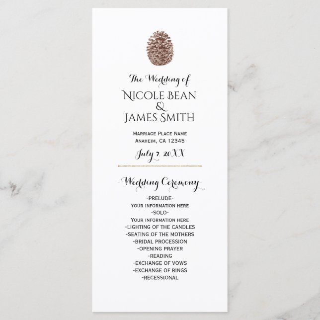 Rustic Pine Cone Elegant Simple Wedding Program Programme (Front)