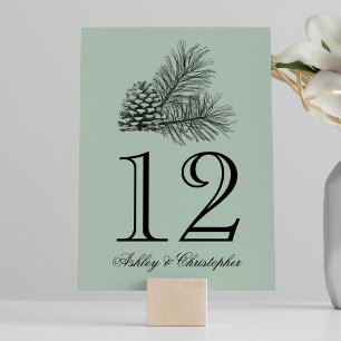 Rustic Pine Cone Wedding Reception Table Number