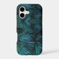Rustic Pine trees | pine forest | green conifers