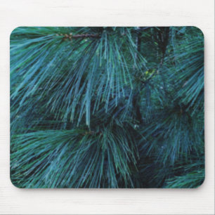 Rustic Pine trees pine forest green conifers Mouse Pad