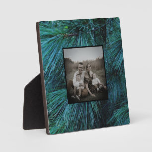 Rustic Pine trees pine forest green evergreen Plaque