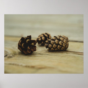 Rustic Pinecones On Wood Nature Still Life Photo Poster