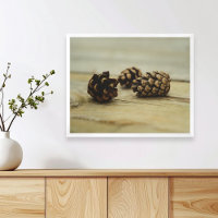 Rustic Pinecones On Wood Nature Still Life Photo