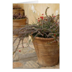 Rustic Pots Card