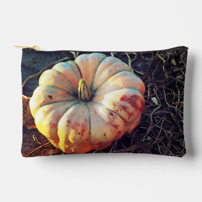 Rustic Pumpkin  Accessory Pouch (Front)