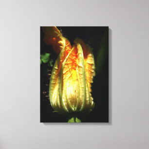 Rustic, Pumpkin Blossom Wrapped Canvas
