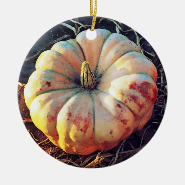 Rustic Pumpkin  Ceramic Tree Decoration (Front)