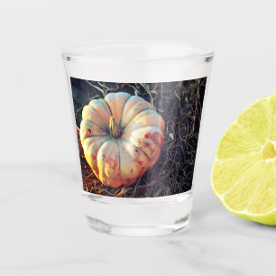 Rustic Pumpkin Shot Glass