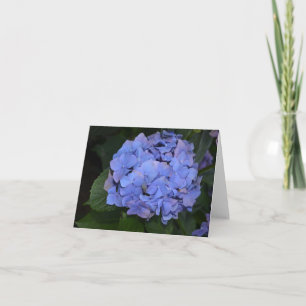Rustic Purple Hydrangea macrophylla   Card