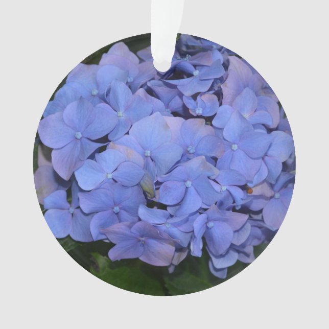 Rustic Purple Hydrangea macrophylla  Ornament (Front)