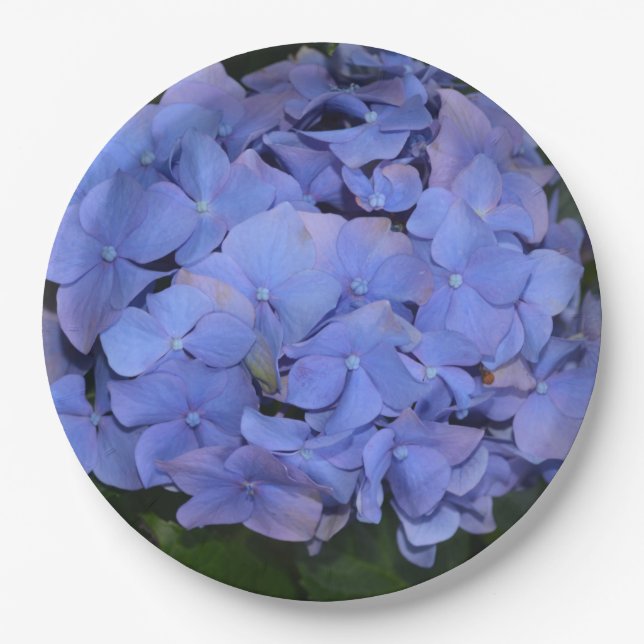 Rustic Purple Hydrangea macrophylla  Paper Plate (Front)