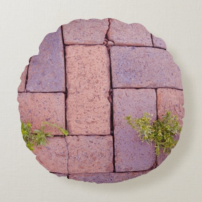 Rustic Red Brick Pavers Walkway Weeds in Cracks Round Cushion (Front)