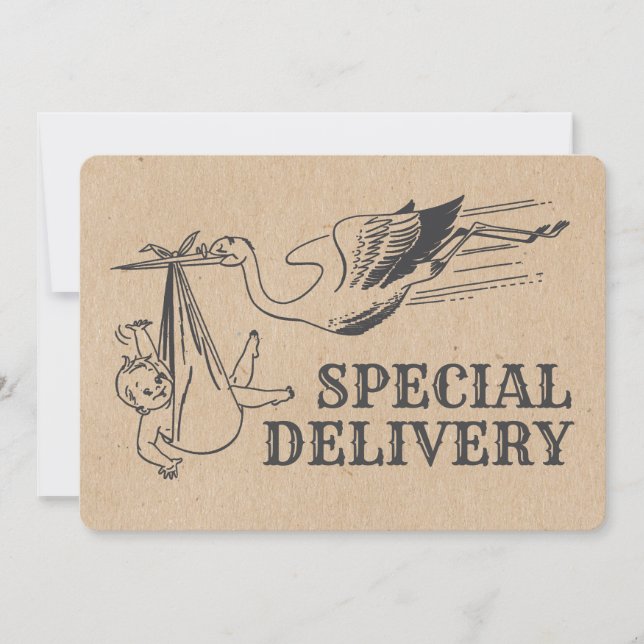 Rustic Retro Style Stork Baby Shower Invitation (Front)