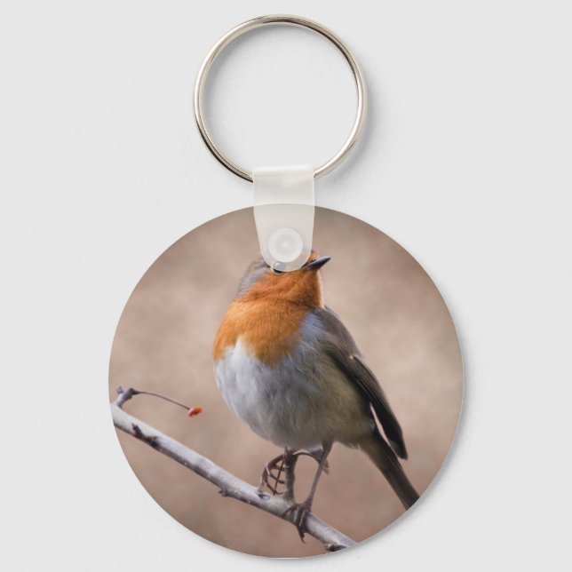 Rustic Robin Keyring (Front)